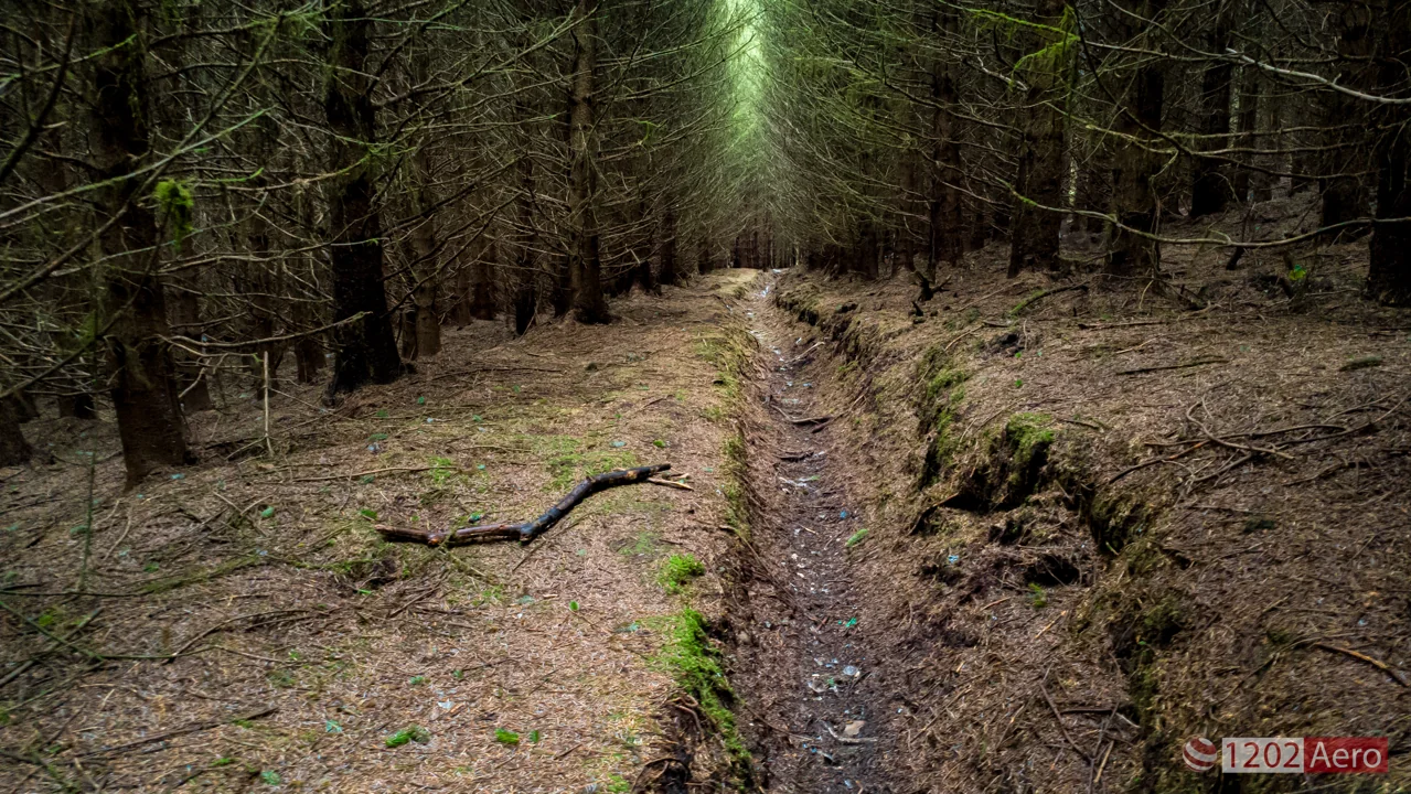 Ballyaghagan Nature Reserve